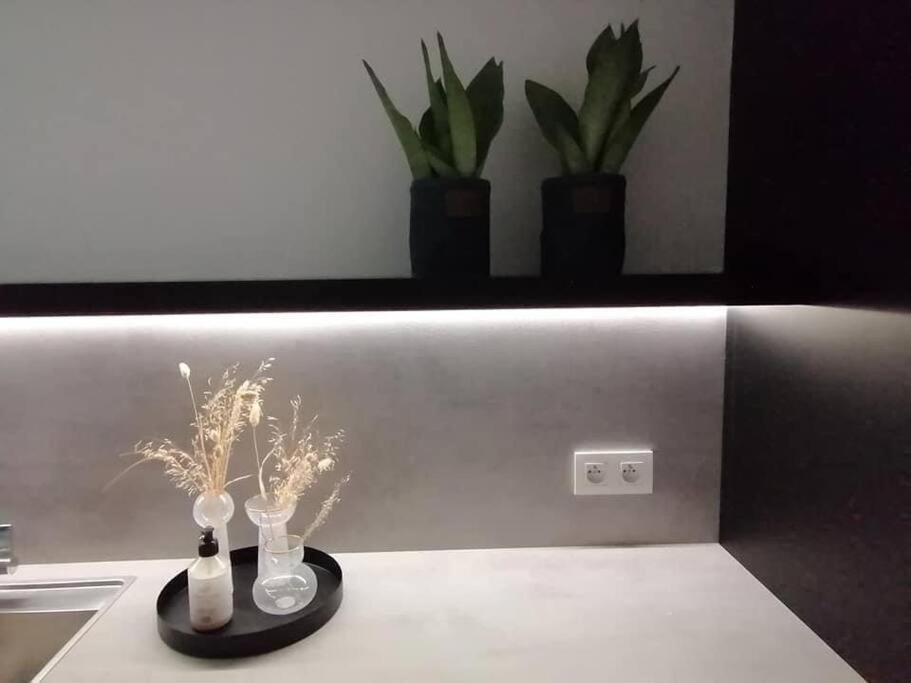 布鲁日Cozb公寓 外观 照片